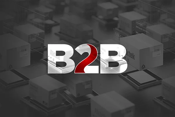 B2B Bayi Portalı